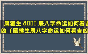 属猴生 💐 辰八字命运如何看吉凶（属猴生辰八字命运如何看吉凶和时辰）